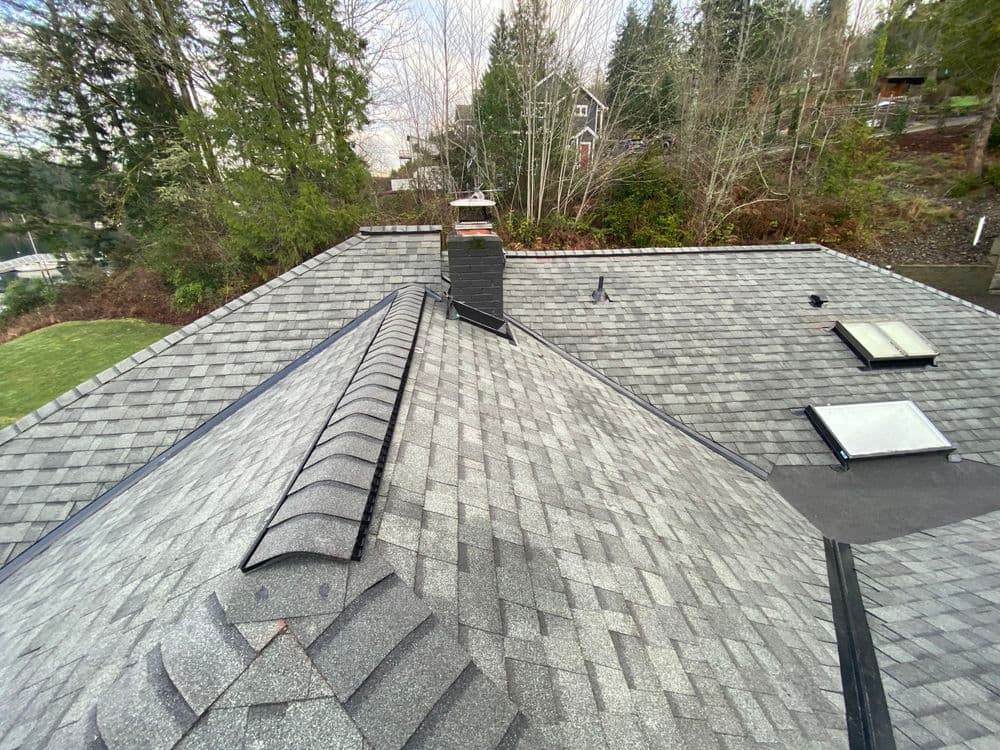 Aerial view of gray shingle rooftop with chimney and skylights surrounded by trees.
