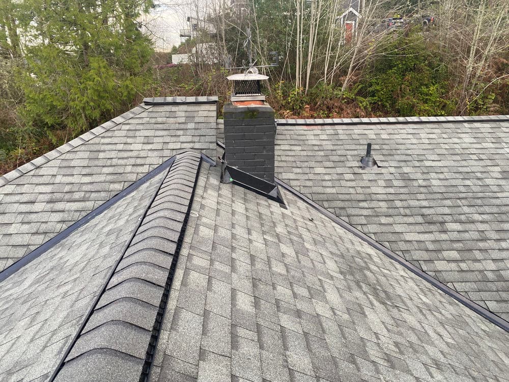 Aerial view of a gray shingle roof with a chimney surrounded by greenery.